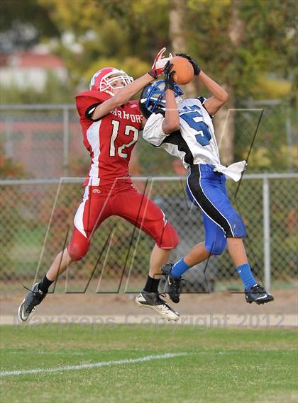 Thumbnail 2 in Orland @ Winters photogallery.