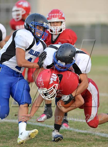Thumbnail 1 in Orland @ Winters photogallery.