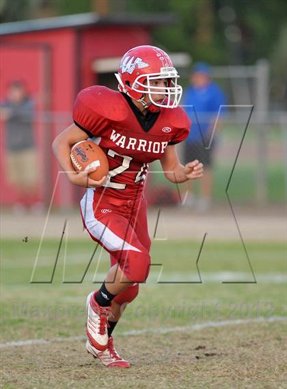 Thumbnail 1 in Orland @ Winters photogallery.