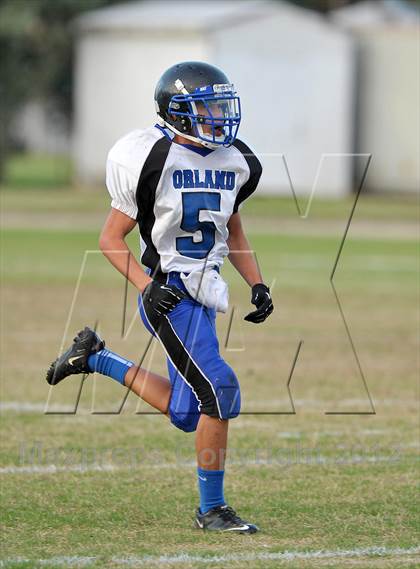 Thumbnail 2 in Orland @ Winters photogallery.