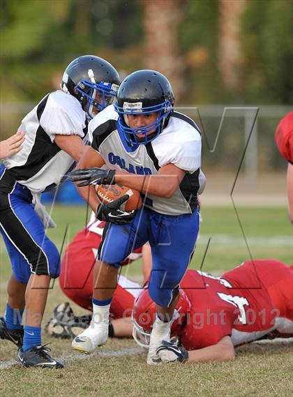 Thumbnail 3 in Orland @ Winters photogallery.