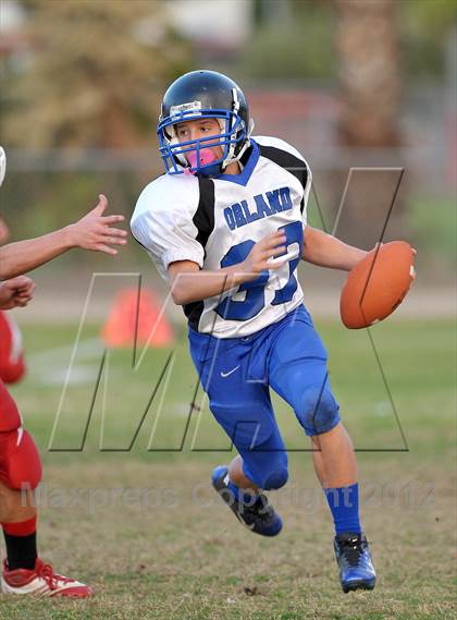 Thumbnail 2 in Orland @ Winters photogallery.