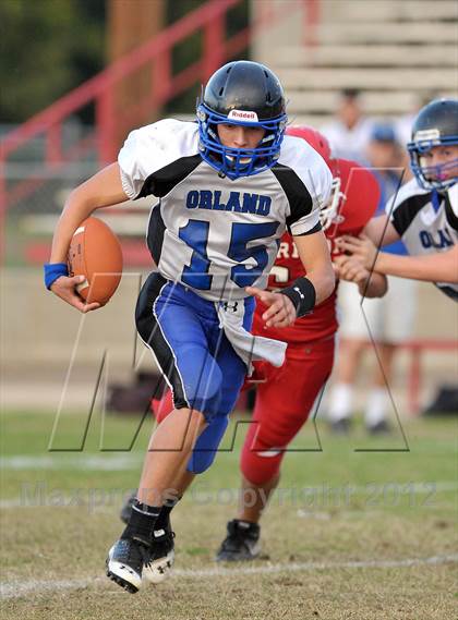 Thumbnail 1 in Orland @ Winters photogallery.