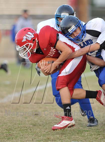 Thumbnail 3 in Orland @ Winters photogallery.