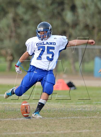 Thumbnail 3 in Orland @ Winters photogallery.
