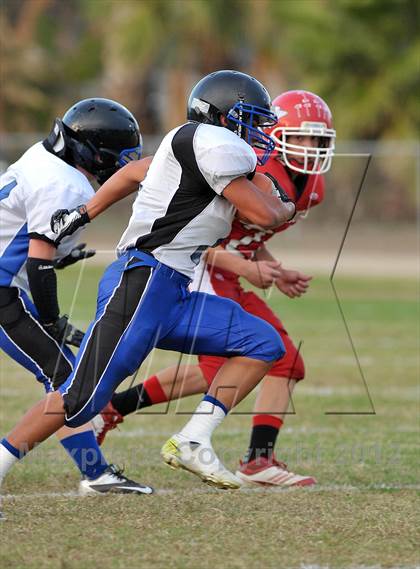 Thumbnail 3 in Orland @ Winters photogallery.