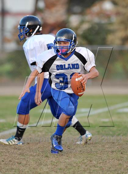Thumbnail 1 in Orland @ Winters photogallery.