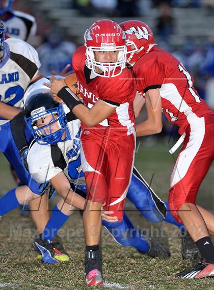 Thumbnail 3 in Orland @ Winters photogallery.
