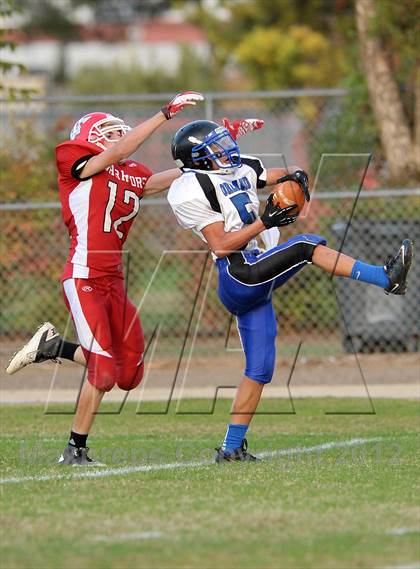 Thumbnail 3 in Orland @ Winters photogallery.