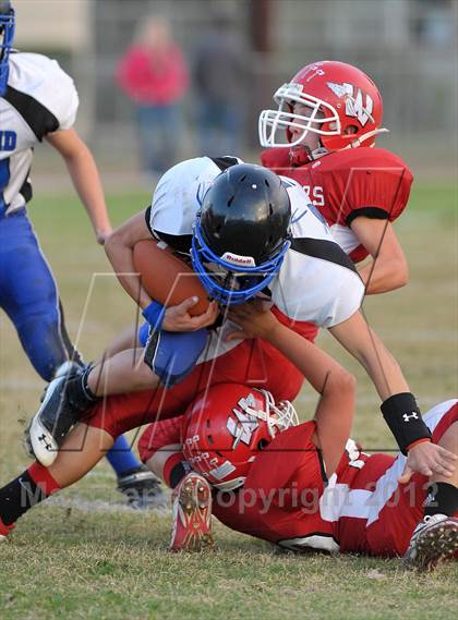 Thumbnail 3 in Orland @ Winters photogallery.