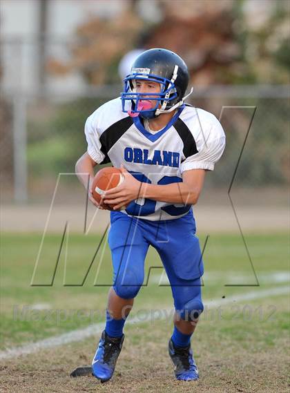 Thumbnail 3 in Orland @ Winters photogallery.