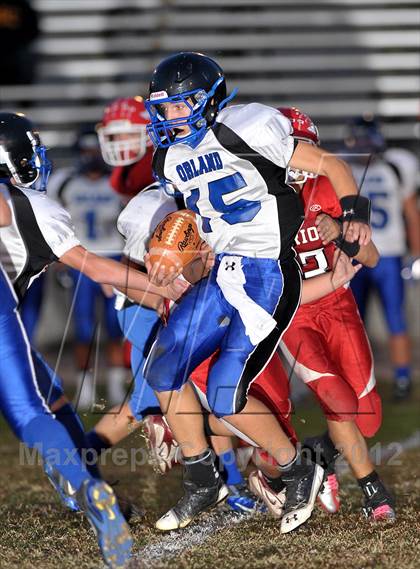 Thumbnail 2 in Orland @ Winters photogallery.