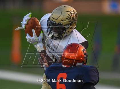 Thumbnail 1 in Foster @ Seven Lakes photogallery.