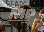 Photo from the gallery "Gustine @ Summerville"