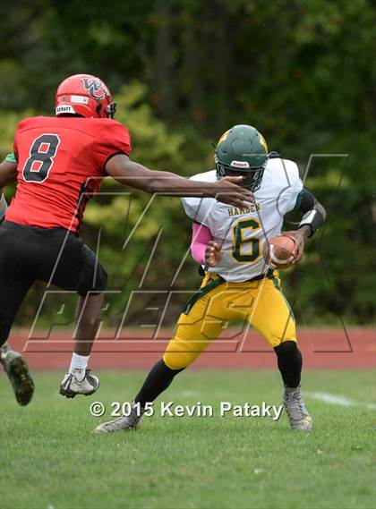 Thumbnail 2 in Hamden @ Wilbur Cross photogallery.
