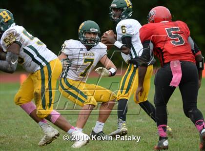 Thumbnail 2 in Hamden @ Wilbur Cross photogallery.