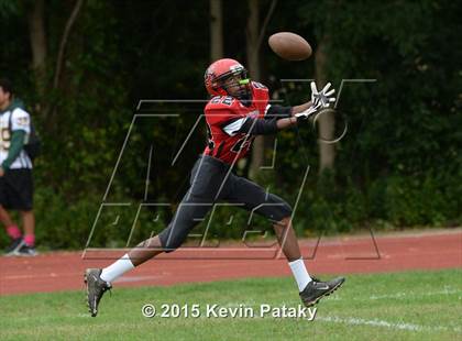 Thumbnail 1 in Hamden @ Wilbur Cross photogallery.