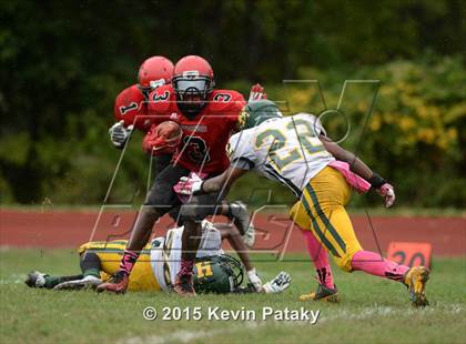 Thumbnail 1 in Hamden @ Wilbur Cross photogallery.