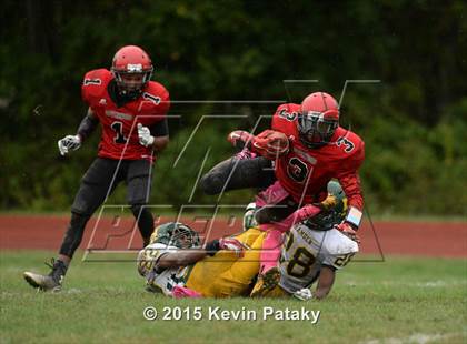 Thumbnail 3 in Hamden @ Wilbur Cross photogallery.