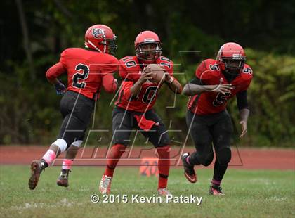 Thumbnail 3 in Hamden @ Wilbur Cross photogallery.