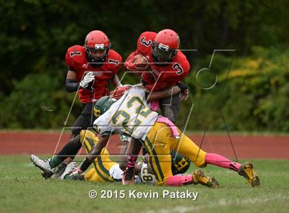 Thumbnail 3 in Hamden @ Wilbur Cross photogallery.