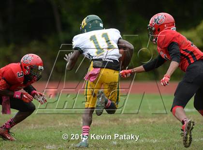 Thumbnail 3 in Hamden @ Wilbur Cross photogallery.
