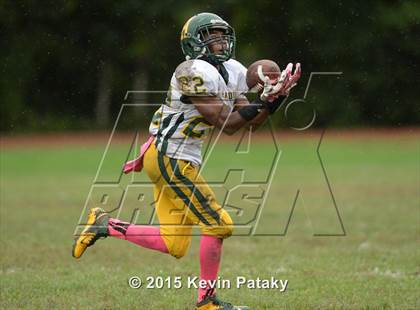 Thumbnail 1 in Hamden @ Wilbur Cross photogallery.