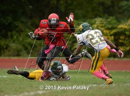 Thumbnail 3 in Hamden @ Wilbur Cross photogallery.