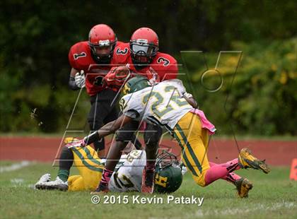 Thumbnail 2 in Hamden @ Wilbur Cross photogallery.