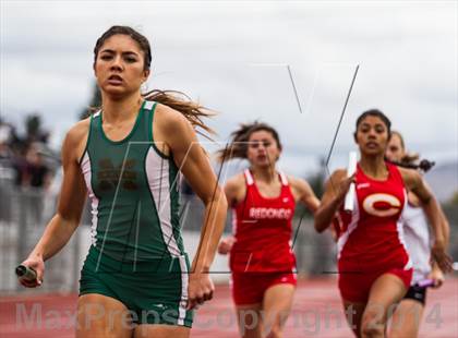 Thumbnail 1 in Corona Relays photogallery.
