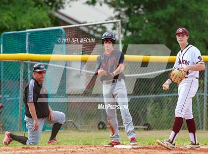 Thumbnail 1 in Carrollwood Day @ Seffner Christian photogallery.
