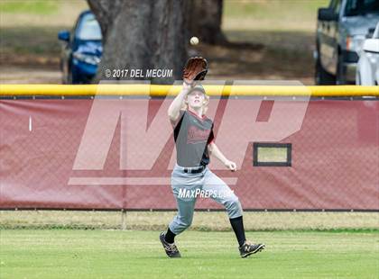 Thumbnail 1 in Carrollwood Day @ Seffner Christian photogallery.
