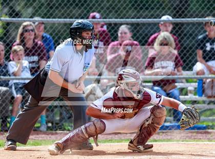 Thumbnail 1 in Carrollwood Day @ Seffner Christian photogallery.