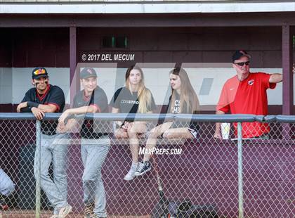 Thumbnail 2 in Carrollwood Day @ Seffner Christian photogallery.