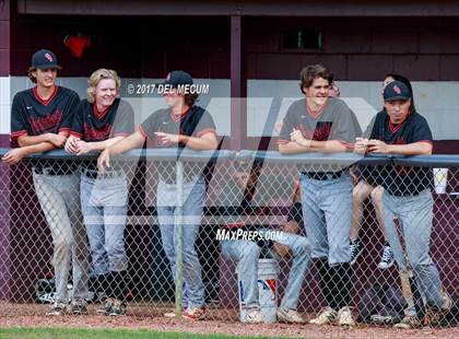 Thumbnail 1 in Carrollwood Day @ Seffner Christian photogallery.