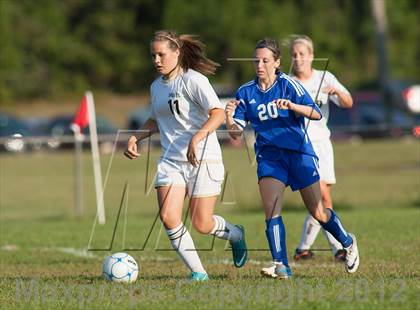 Thumbnail 1 in Hammonton @ Absegami photogallery.