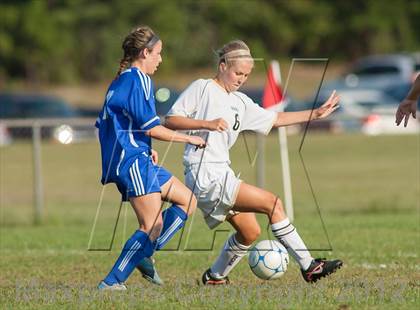 Thumbnail 3 in Hammonton @ Absegami photogallery.