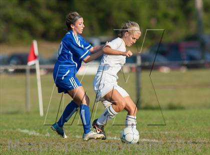 Thumbnail 1 in Hammonton @ Absegami photogallery.