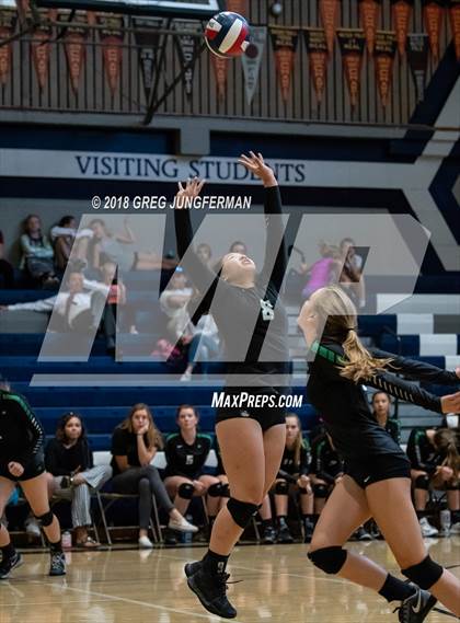 Thumbnail 3 in Drake @ Marin Catholic photogallery.