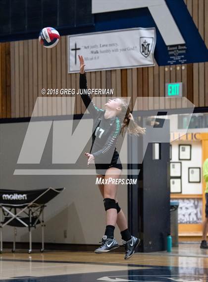 Thumbnail 1 in Drake @ Marin Catholic photogallery.