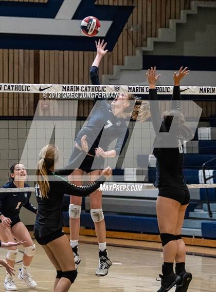 Thumbnail 3 in Drake @ Marin Catholic photogallery.