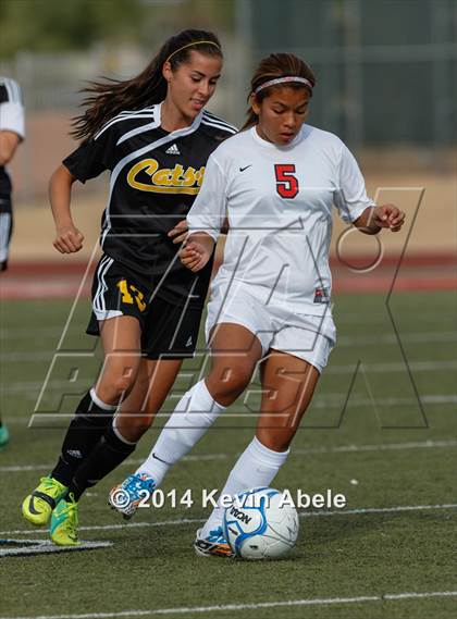 Thumbnail 2 in Saguaro @ Paradise Valley (Pride in Paradise Tournament) photogallery.