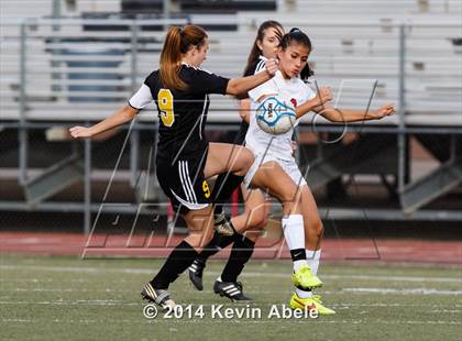 Thumbnail 3 in Saguaro @ Paradise Valley (Pride in Paradise Tournament) photogallery.