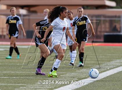 Thumbnail 3 in Saguaro @ Paradise Valley (Pride in Paradise Tournament) photogallery.