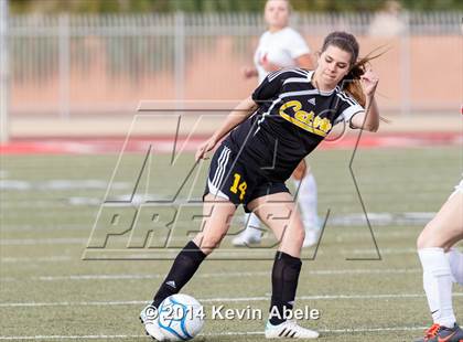 Thumbnail 2 in Saguaro @ Paradise Valley (Pride in Paradise Tournament) photogallery.