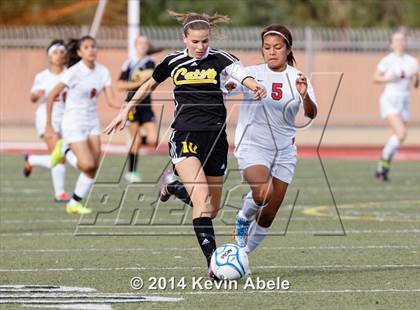 Thumbnail 3 in Saguaro @ Paradise Valley (Pride in Paradise Tournament) photogallery.