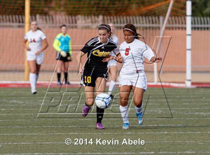 Thumbnail 1 in Saguaro @ Paradise Valley (Pride in Paradise Tournament) photogallery.