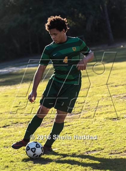 Thumbnail 1 in Shorecrest Prep @ Carrollwood Day photogallery.