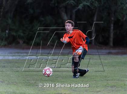 Thumbnail 3 in Shorecrest Prep @ Carrollwood Day photogallery.