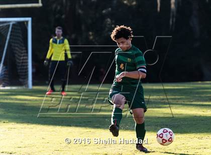 Thumbnail 3 in Shorecrest Prep @ Carrollwood Day photogallery.